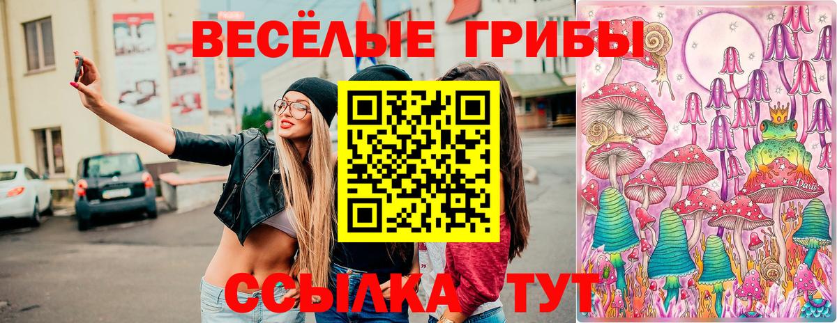 Свободный  Псилоцибиновые грибы GOLDEN TEACHER  Вход с VPN  Псилоцибиновые грибы Magic Shrooms 